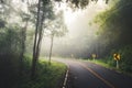 Foggy Road Through the Forest Royalty Free Stock Photo