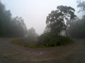 Foggy road in mountains, South Asia road travel view. Picturesque roadscape in morning fog