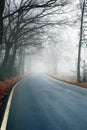 Foggy road Royalty Free Stock Photo