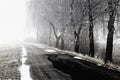 Foggy road in winter Royalty Free Stock Photo