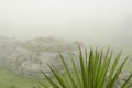 Foggy and rocky landscape with an agavoideae plant in the foreground Royalty Free Stock Photo