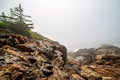 Foggy rocky ocean coastline in Acadia National Park, Maine Royalty Free Stock Photo
