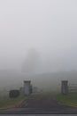 Foggy Rural Mountain Cemetery Iron Fence Entrance with Tree Silhouette Royalty Free Stock Photo