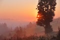 Foggy rural scene. Misty morning in mountains Royalty Free Stock Photo