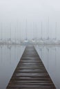 Foggy Sailboat harbor