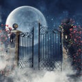 Foggy scene with a gothic gate
