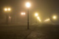 Foggy scene in a Maksimir Royalty Free Stock Photo