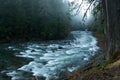Foggy Scene on the Sol Duc River Royalty Free Stock Photo