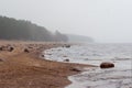 Foggy Sea Shore