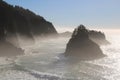 Foggy Silhouettes Rocky Islands Oregon Coast Royalty Free Stock Photo