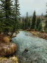 Foggy Spring Evening in Telluride