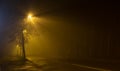 Foggy street lights illuminating sidewalk and road