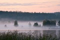 Foggy summer landscape