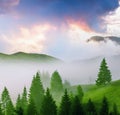 Foggy summer landscape,  spectaculat nature scenery Royalty Free Stock Photo