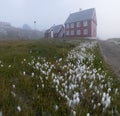 Foggy summer morning in Greenland. The picturesque Ilulissat village on the Greenland Sea shore. Old wooden house in Ilulissat Royalty Free Stock Photo