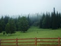 Foggy summer morning in the mountain village Royalty Free Stock Photo