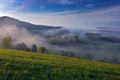 Foggy summer morning in the mountains. Green tree on the hill with fog. Tree from Sumava mountain, Czech Republic. Fog in the land Royalty Free Stock Photo