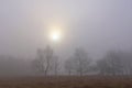 Foggy spring morning . Lithuania ,near Baltic sea