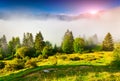 Foggy summer morning in the Triglav national park, near the Bohinj lake. Slovenia, Alps, Europe.