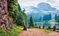 Foggy summer scene of Harghita County, Romania, Europe. Stunning morning view of Lacu Rosu lake. Beauty of nature concept backgrou