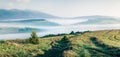 Foggy summer view of Carpathian mountains. Bright morning landscape of mountain valley in the first sunlight glowing fresh grass,