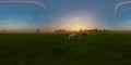 Foggy sunrise on meadow spherical panorama