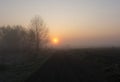 The foggy sunrise morning over the field Royalty Free Stock Photo