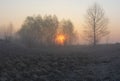 The foggy sunrise morning over the field Royalty Free Stock Photo