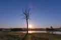 Foggy Sunrise over Lake, Leafless Tree and Nature Reserve in Ear Royalty Free Stock Photo