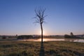 Foggy Sunrise over Lake, Leafless Tree and Nature Reserve in Ear Royalty Free Stock Photo