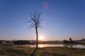 Foggy Sunrise over Lake, Leafless Tree and Nature Reserve in Ear Royalty Free Stock Photo