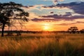 Foggy sunrise over the meadow at Masai Mara National Park, Kenya, Sunrise over the savanna and grass fields in central Kruger Royalty Free Stock Photo