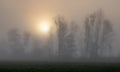 Foggy sunrise at Paar river in autumn Royalty Free Stock Photo