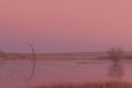Foggy Sunrise Reflection at Bosque del Apache NWR Royalty Free Stock Photo