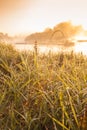 Foggy sunrise on a small river