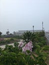 Foggy Sunrise in Spring at Coney Island in Brooklyn, New York, NY.