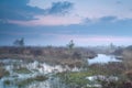 Foggy sunset over swamp with cotton-grass Royalty Free Stock Photo