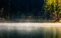 Foggy surface of the forest lake at sunrise