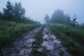 Foggy Trail Through Grassy Meadow on a Misty Morning Royalty Free Stock Photo