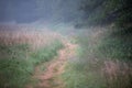 Foggy Trail, Ledbetter State Park Washington