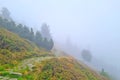 Foggy trail in the mountains. Mystical morning. Hiking in the mountains.