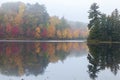 Foggy trees in autumn color and a small island with pines reflect in the water of a northern Minnesota lake Royalty Free Stock Photo