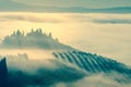 Foggy Valley silhouette in the morning landscape, Tuscany, Italy, Europe