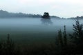 Foggy view in the field