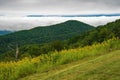 A Foggy View of the Shenandoah Valley and the Blue Ridge Mountains Royalty Free Stock Photo