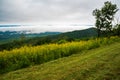 A Foggy View of the Shenandoah Valley and the Blue Ridge Mountains Royalty Free Stock Photo