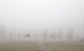Foggy weatrher Royalty Free Stock Photo