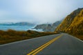 Foggy winding road Royalty Free Stock Photo