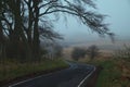 Foggy winding road in the countryside