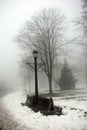 Foggy winter day